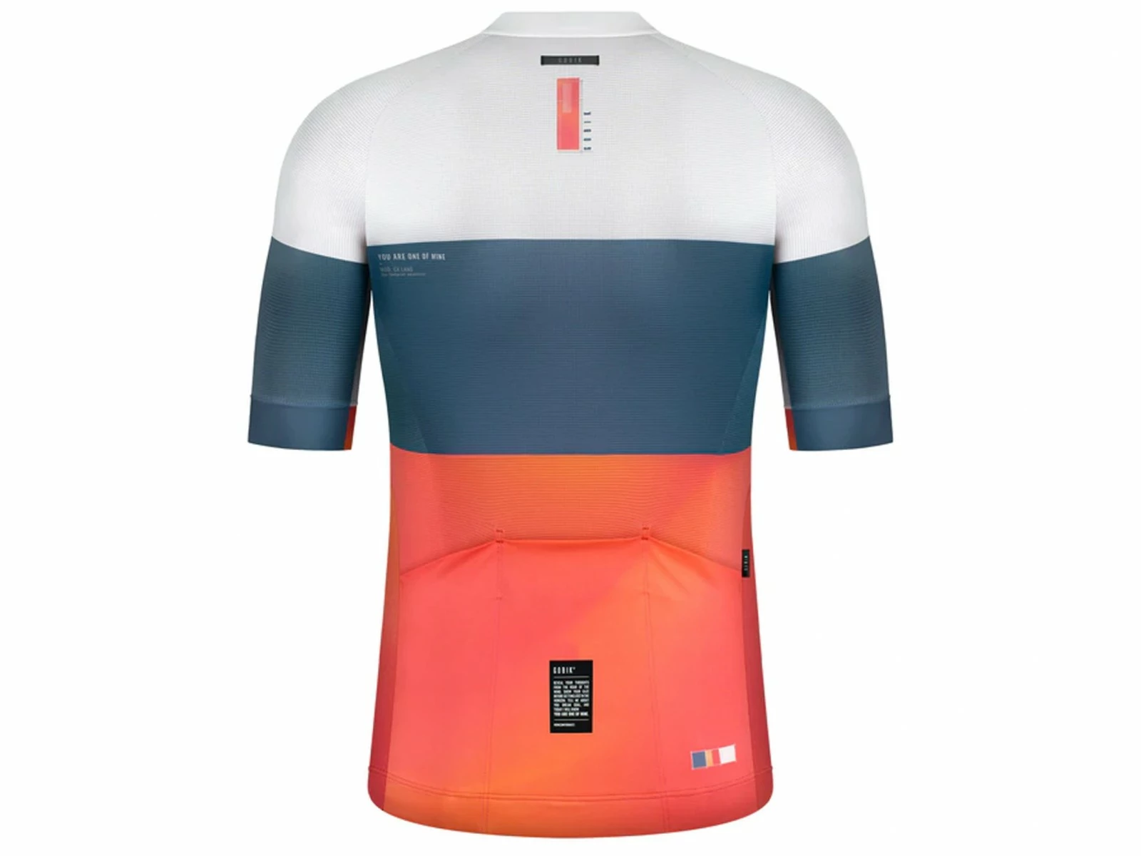 GOBIK CX Pro Cluster Terrestre Maillot Manches Courtes 2022 4 GOBIK CX Pro Cluster Terrestre Maillot Manches Courtes 2022 – Image 2