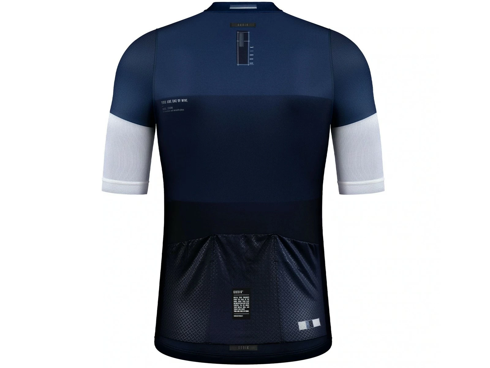 GOBIK Stark Ribbon Maillot Manches Courtes Warm 2022 4 GOBIK Stark Ribbon Maillot Manches Courtes Warm 2022 – Image 2